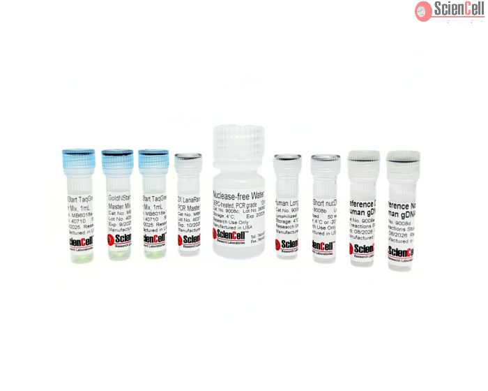 Human Nuclear DNA Damage Quantification qPCR Assay Kit