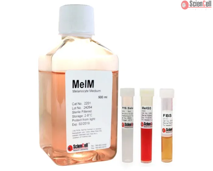 Melanocyte Medium