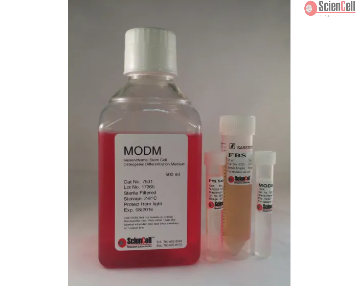 Mesenchymal Stem Cell Osteogenic Differentiation Medium (MODM)