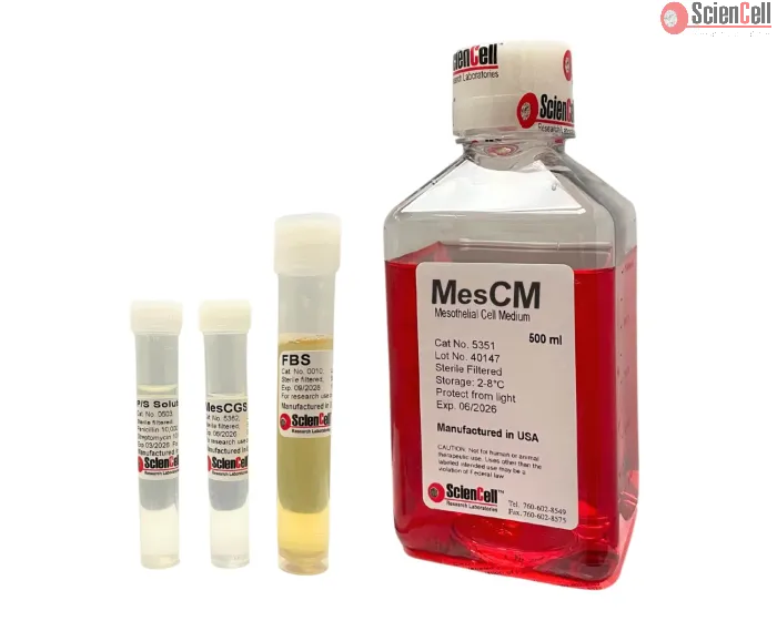 Mesothelial Cell Medium