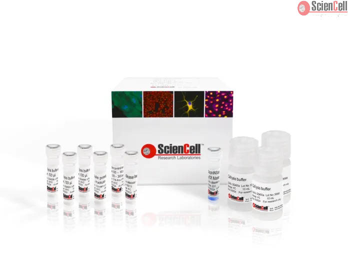 Monkeypox Virus Multiplex qPCR Detection Kit