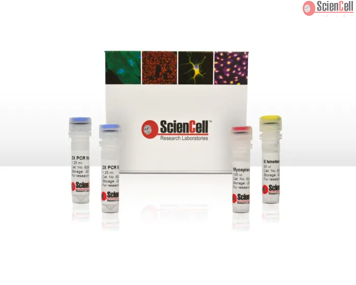 Mycoplasma PCR Detection Kit - Mycoplasma PCR Test