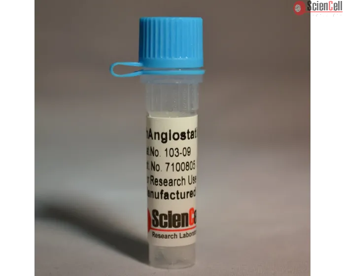 Recombinant Human Angiostatin K1-3