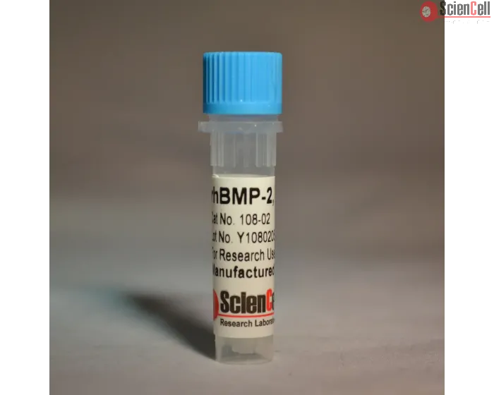 Recombinant Human Bone Morphogenetic Protein-2, 2 ug