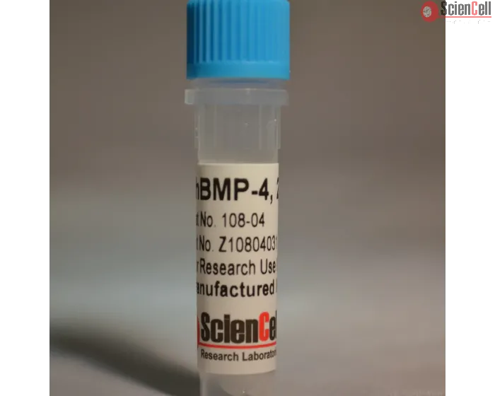 Recombinant Human Bone Morphogenetic Protein-4, 2 μg 