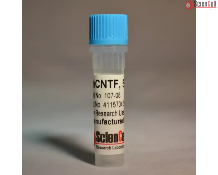 Recombinant Human Ciliary Neurotrophic Factor 