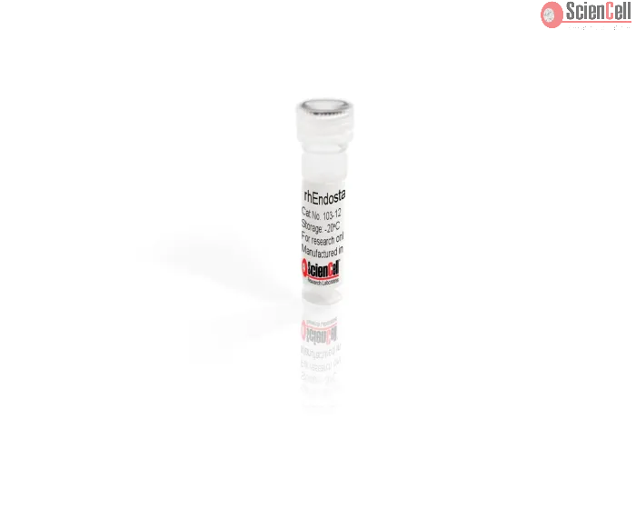 Recombinant Human Endostatin