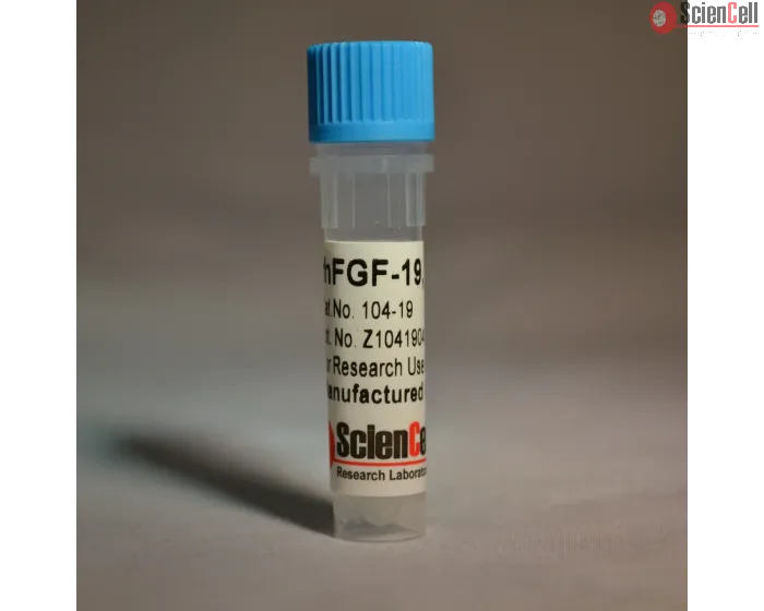 Recombinant Human Fibroblast Growth Factor-19