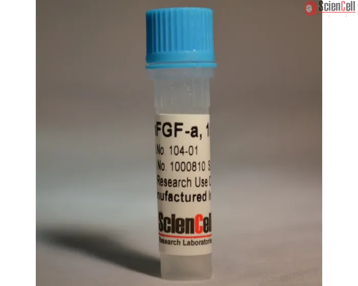  Recombinant Human Fibroblast Growth Factor-acidic