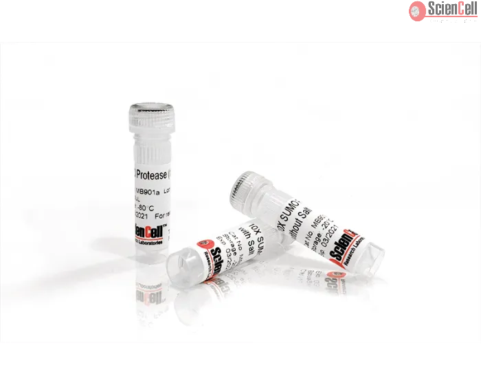 Recombinant yeast SUMO Protease (rScUlp1)