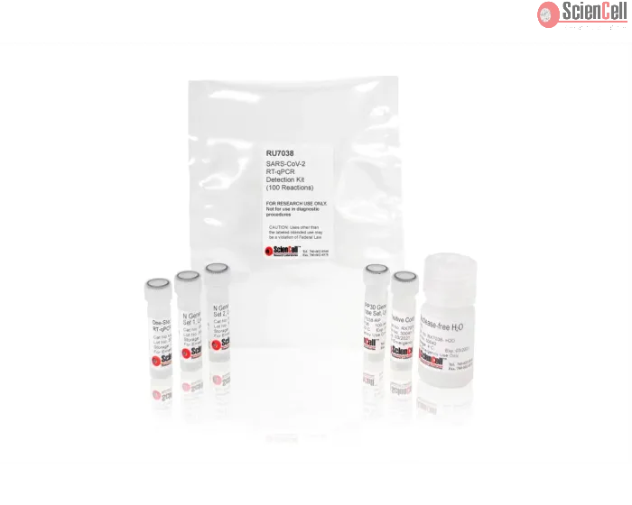 SARS-CoV-2 RT-qPCR Detection Kit