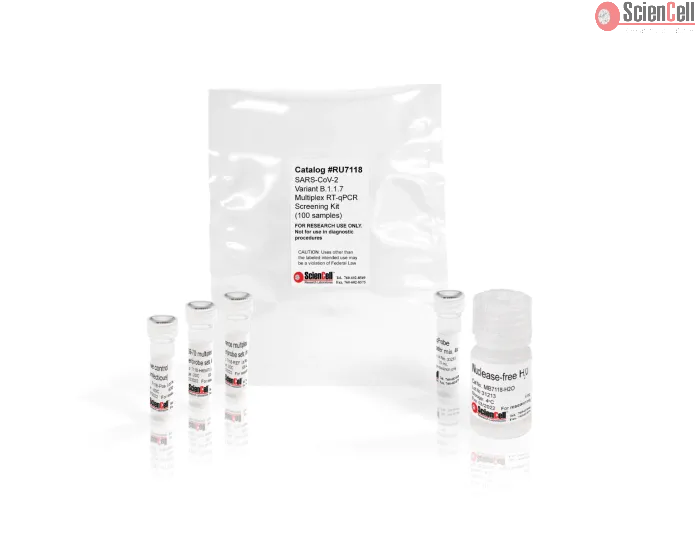 SARS-CoV-2 Variant B.1.1.7 Multiplex RT-qPCR Screening Kit