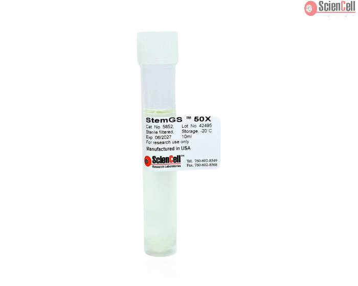 StemGS™ Human Embryonic Stem Cell Growth Supplement 50X