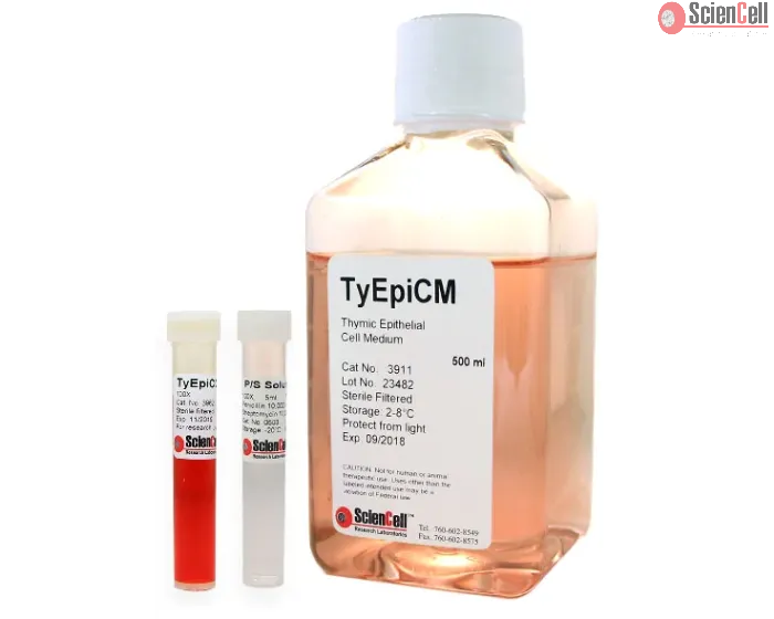 Thymic Epithelial Cell Medium (TyEpiCM)