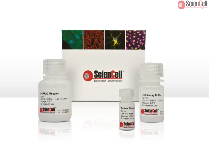 Total Antioxidant Capacity Assay