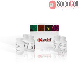 DualPrep DNA/RNA Isolation Kit