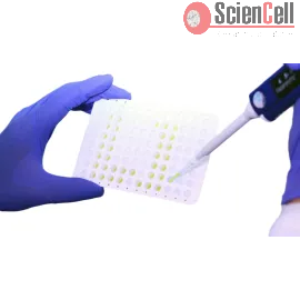 GoldNStart TaqGreen qPCR Master Mix