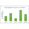 Gene expression profile of renal epithelial cells in 2D vs. 3D cultures