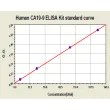 Typical Human CA19-9 ELISA Kit Standard Curve