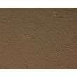 Human induced Pluripotent Stem Cell-derived Astrocytes, Relief Contrast 200x