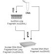 Diagram of the experimental setup.
