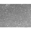 Mouse Embryonic Fibroblasts-mitomycin C treated (MEF-mt) - Relief contrast, 100x.
