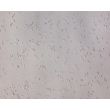 Mouse Neurons-forebrain (MN-fb)-Relief Contrast, 200X