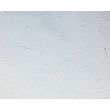 Mouse Pituitary Cells (MPC)-Relief Contrast, 200X