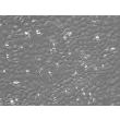Rat Epidermal Keratinocytes (REK) – Relief Contrast, 200x
