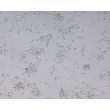 Rat Neurons-midbrain (RN-fb)-Relief Contrast, 200X