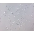 Rat Pulmonary Artery Smooth Muscle Cells (RPASMC)- Relief Contrast, 200x