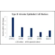 qPCR analysis of the ready-to-use human pulmonary alveolar epithelial cell spheroids