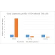 qRT-PCR analysis of 2D- vs. 3D-cultured TM cells
