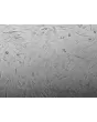 人类膀胱平滑肌细胞（HBdSMC）- 凹凸对比，200倍。