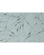 人类表皮黑素细胞-成人 (HEM-a) - 凸显对比，400倍