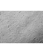 人肾近曲小管上皮细胞（HRPTEpiC） - 微分干涉对比显微镜图像，100 倍放大。