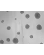 At days 7, 3D chondrocyte spheroid taken at 100X magnification.
