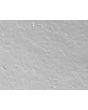 Bovine Lens Epithelial Cells (BLEpiC)-Relief Contrast, 200X