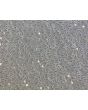 Bovine Oral Fibroblasts (BOF) - Phase Contrast, 100X