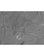 Human Astrocytes-brain stem (HA-bs) - Relief contrast, 400x.

