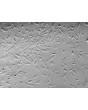 Human Choroid Plexus Epithelial Cells (HCPEpiC) - Relief contrast, 100x.
