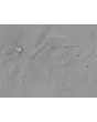 Human Hair Outer Root Sheath Cells (HHORSC) - Relief contrast, 400x.
