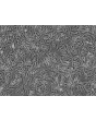 Human Myometrial Smooth Muscle Cells (HMSMC)-Phase contrast, 100x.
