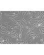 Human Schwann Cells (HSC) - Relief contrast