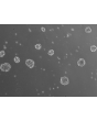B. Ready-to-use 3D human BBB spheroids at 48 hours after thawing
