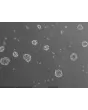 B. Ready-to-use 3D human BBB spheroids at 48 hours after thawing
