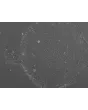 StemCryo®