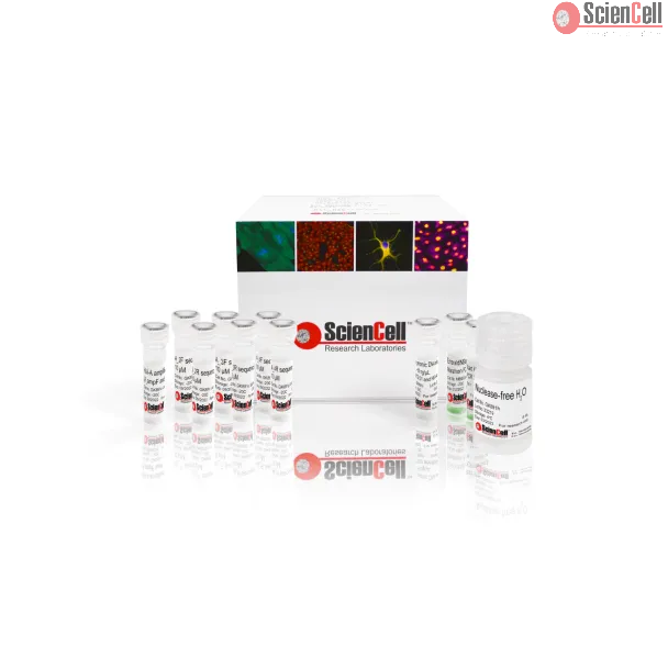 GeneQuery™ HLA-A PCR+Sanger SBT Typing Kit 