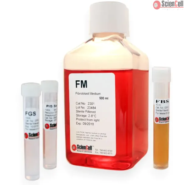 Fibroblast Medium (FM) | Sciencell