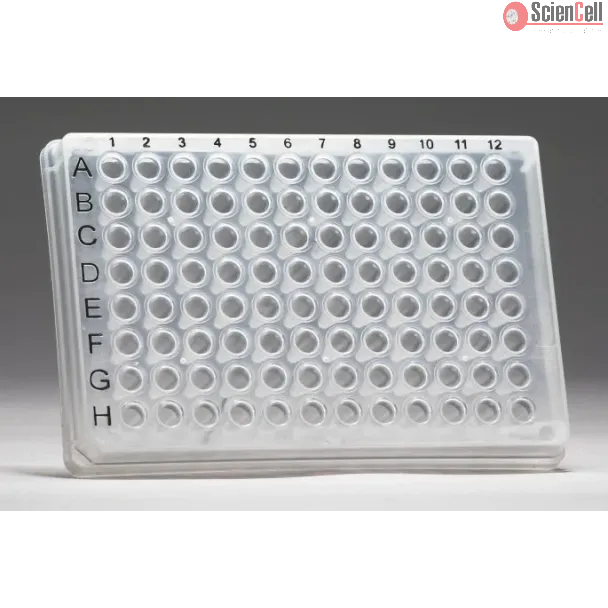 GeneQuery™ Human Regulation of Cancer Immune Evasion qPCR Array Kit (Plate 2 of 2)